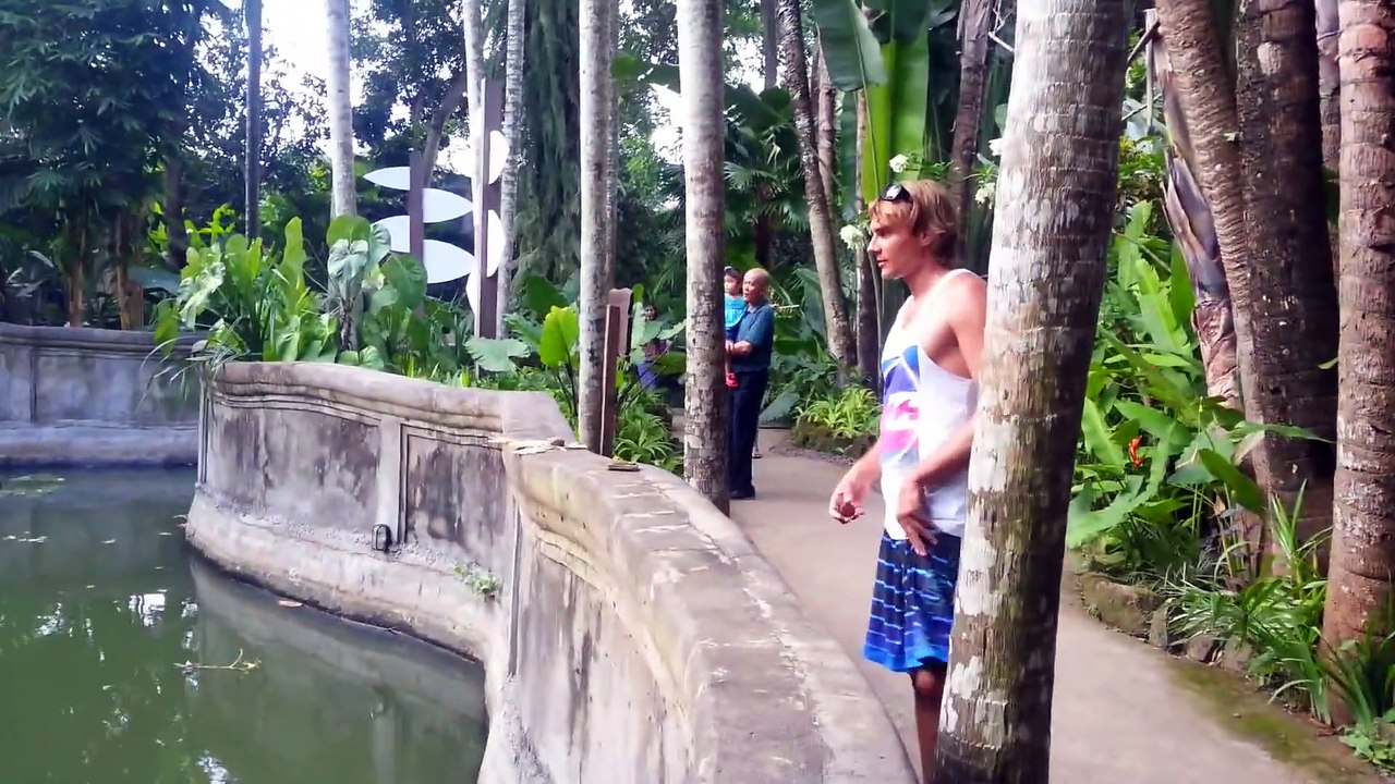 Ourang Outang - échange de pastèque