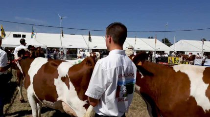 La 84e Foire agricole de Libramont s'ouvre vendredi