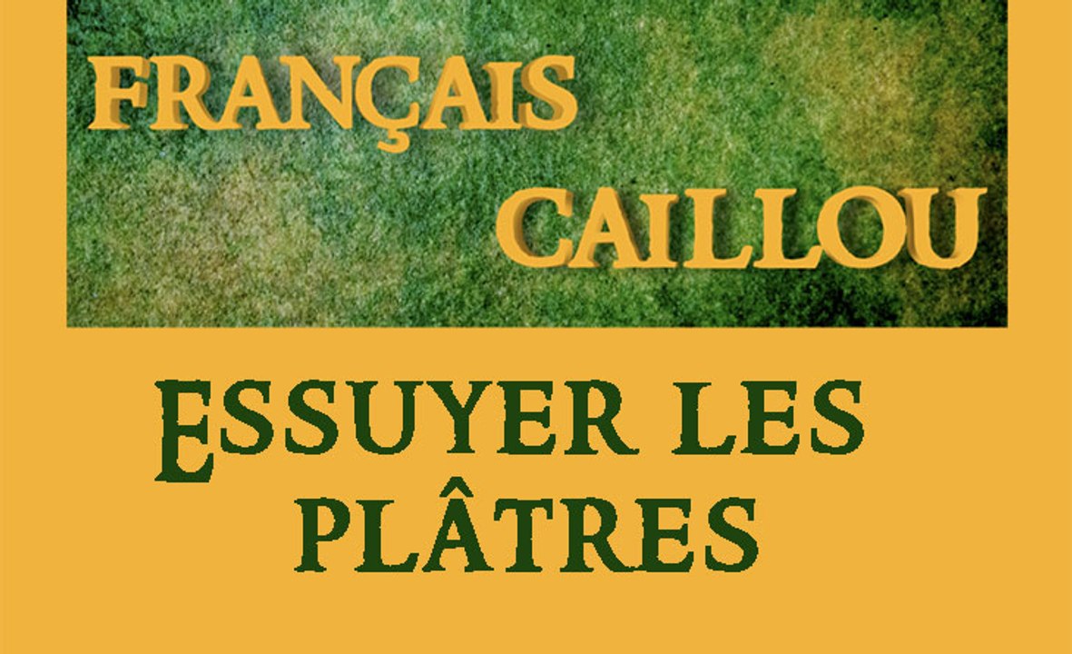 Français caillou / Définition du jour : "Essuyer les plâtres"