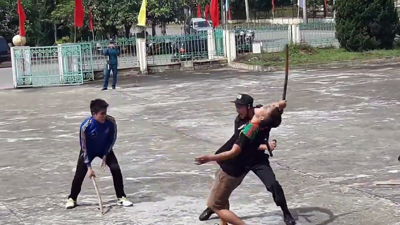 martial arts performance of the police of Vietnam