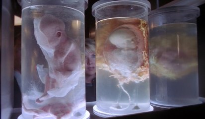 Stargate SG-1 07x19 - Resurrection (HQ)