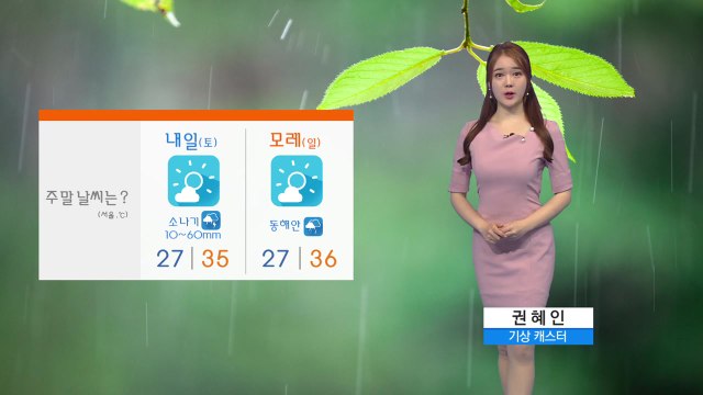 [날씨] 내일 내륙 곳곳 소나기...주말 내 계속되는 폭염 / YTN