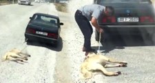 Köpeği Otomobilin Arkasına Bağlayıp Sürükleyen Cani, Serbest Bırakıldı