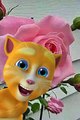 Parodi animasi kucing bahasa jawa kromo lucu banget