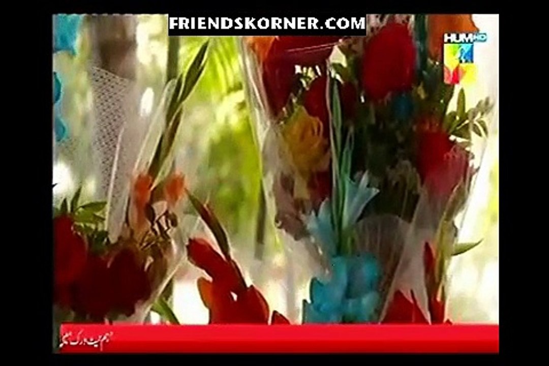 Aik Larki Aam Si Episode 29