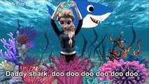 Baby Shark Song and Dance Frozen Animal Songs for Kids