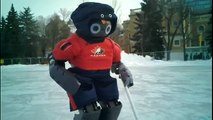 Humanoid Robot Ice Hockey Player