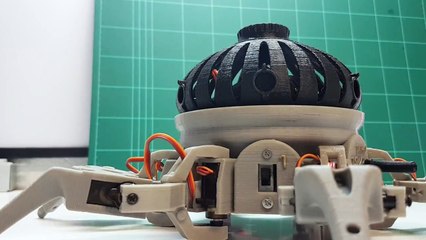 First steps of the Arduino Vorpal Combat Hexapod Robot.