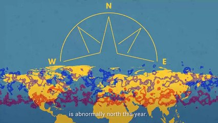 Why Is It So Hot? Climate Expert Says 'This Is The New Normal'