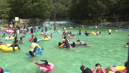 산림욕과 물놀이로 한방에 무더위 탈출 / YTN