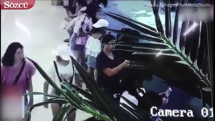 AVM'de köpekbalığı dehşeti