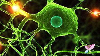 Les incroyables vertus des bisous pour la santé