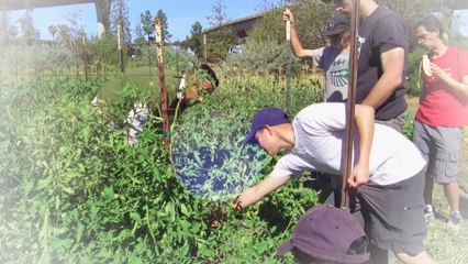 소외된 빈민가에 새 생명 불어넣는 도시 농장 / YTN
