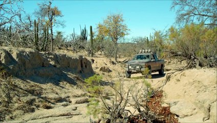 DESIERTO Bande Annonce VF (Thriller - 2016)
