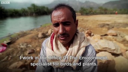 Yemen's island 'jewel' under threat - BBC News