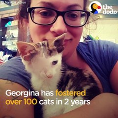 This cat has 4 ears and his mom pets them all!