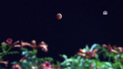 21. yüzyılın en uzun 'kanlı ay' tutulması (1) - ANKARA