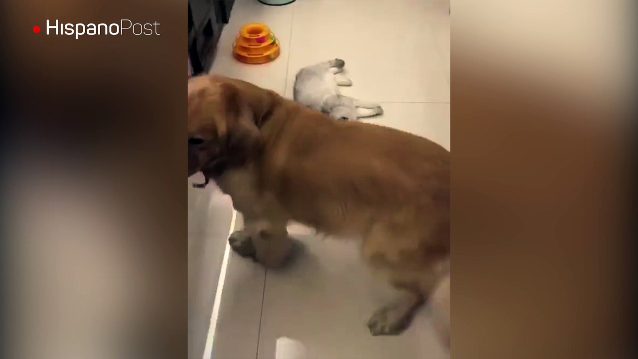 Vamos de paseo