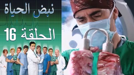 نبض الحياة   Nabad Alhaya القسم 16