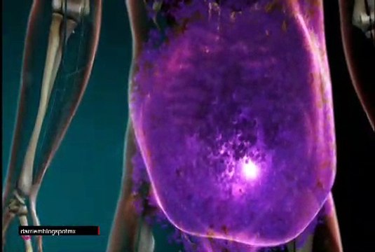 T7E5 AUTOPSIAS DE HOLLYWOOD Steve mcqueen