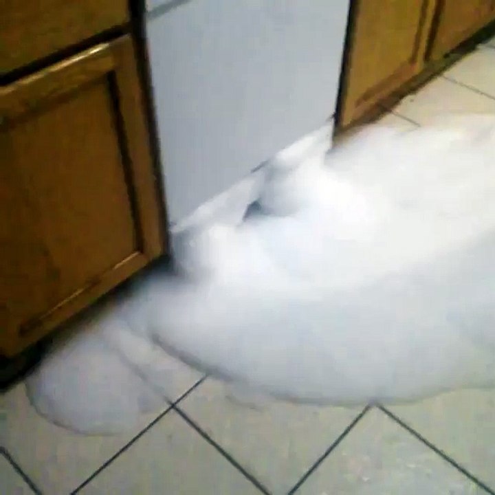 Funny Videos #106