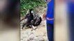Ein Hund im Würgegriff einer Schlange: Das erschreckende Video wurde in Thailand gefilmt und schon millionenfach im Netz geklickt. Glücklicherweise gelingt es b