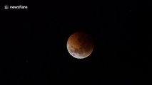 Century's longest 'blood moon' seen over the skies of Tasmania