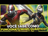 Como FUNCIONA o Reino Quântico de Homem-Formiga e Vespa