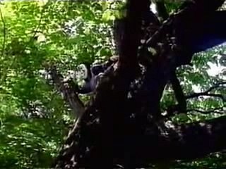 카지노새크라멘토＼＼ ET386。COM  ＼＼카지노허가기간