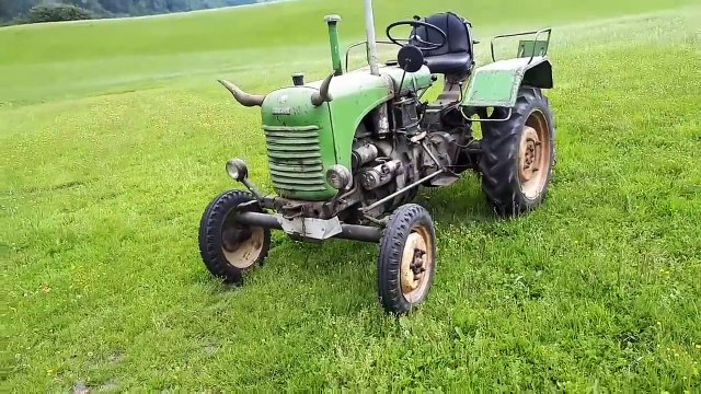 Johnny Cash Ring of fire PARODIE cover (Petutschnig Hons)