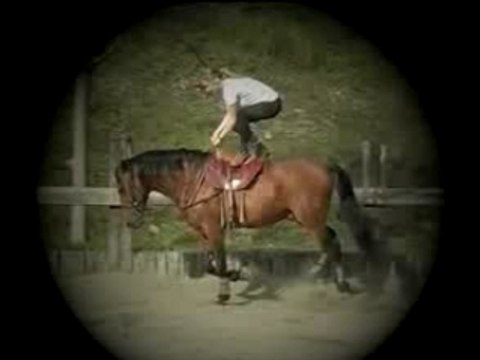 La Robinette Entrainement Voltige cabriole