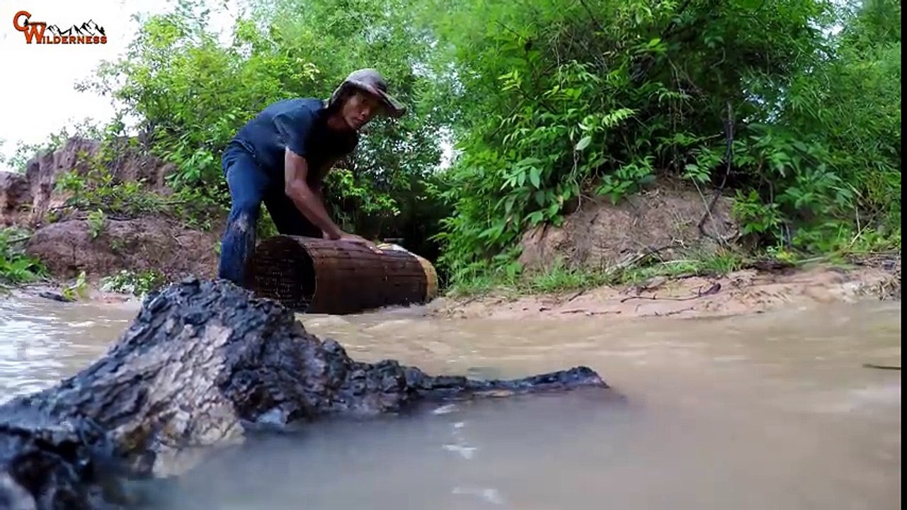 Snake Trap Catch Big Snake