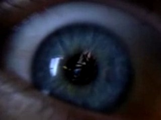 Decoys (Theatrical Trailer)