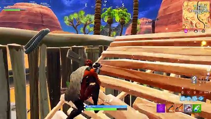 The *RANDOM SKIN* Challenge In Fortnite Battle Royale!