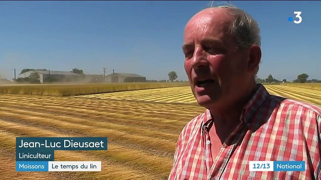 Moissons : le temps du lin