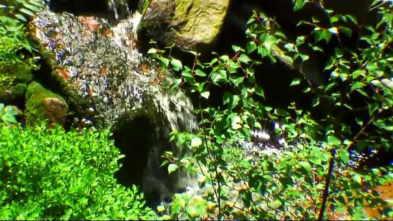 VIDEO MEDITATION STRESS RELIEF IN 10 MINUTES FLAT