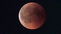 Eclipse totale de lune : revivez les plus belles images ! 