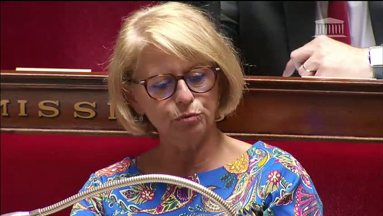 1ère séance :  Présence des parlementaires dans certains organismes extérieurs au Parlement (CMP) ; Liberté de choisir son avenir professionnel (nouvelle lecture) ( Art. 1er adt 1 et 79) - Lundi 23 juillet 2018