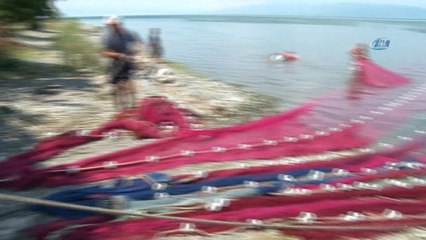 Balıkçılar bu balığa av yasağı getirilmesini istiyor