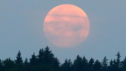 Beobachter von Mondfinsternis begeistert - wo es nicht zu bewölkt war...