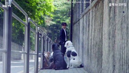 เต้าหู้_2