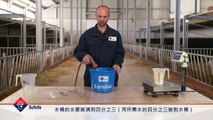 Mixing Calf Milk Replacer (CMR) - Chinese language