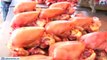 Poultry prices experience twelve rupees decline