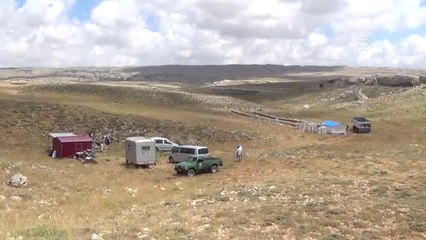 Toroslarda Bal Hasadı Başladı