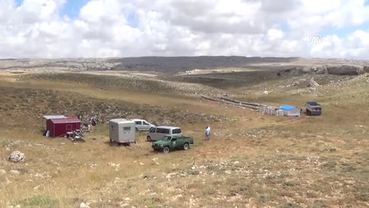 Toroslarda Bal Hasadı Başladı