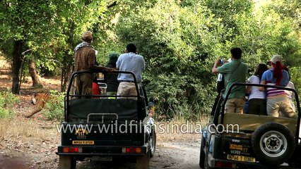 Humans and nature- People participation in Indian wildlife conservation
