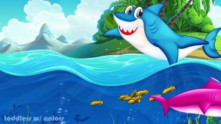 Finger Family & Baby Shark Song - Sing & Dance - Song for Kids