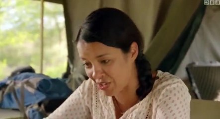 Nature  039 s Epic Journeys S01  E03 Zebra - Part 02