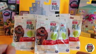 The Secret Life Of Pets Movie Minifigures Surprise Blind Bags Opening Gold and Silver | To