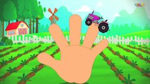 Monster Trucks Finger Family | Finger Family Compilation | Videos for Children